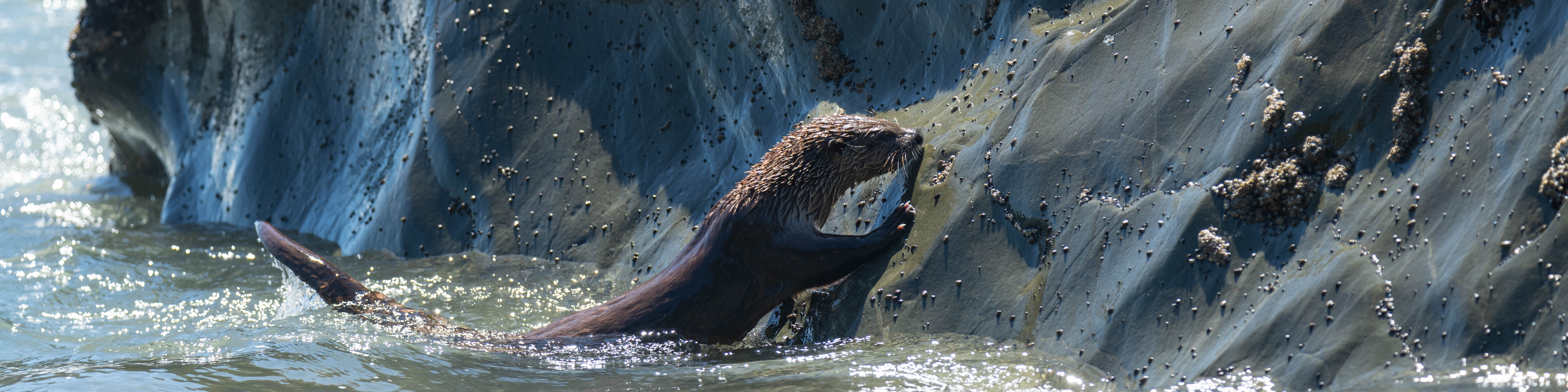 Why I Prefer PR Curves Over ROC Curves