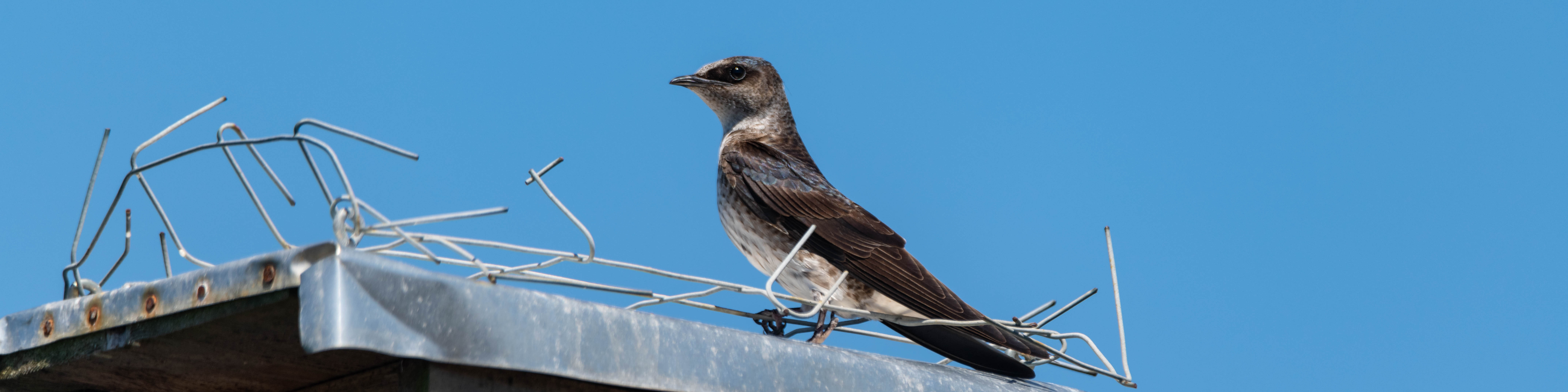 How to Move a Robot Hand